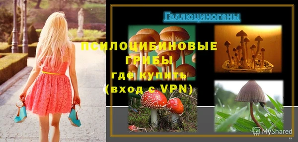 бутик Бородино