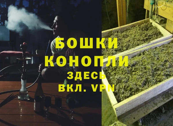 эйфоретик Богданович