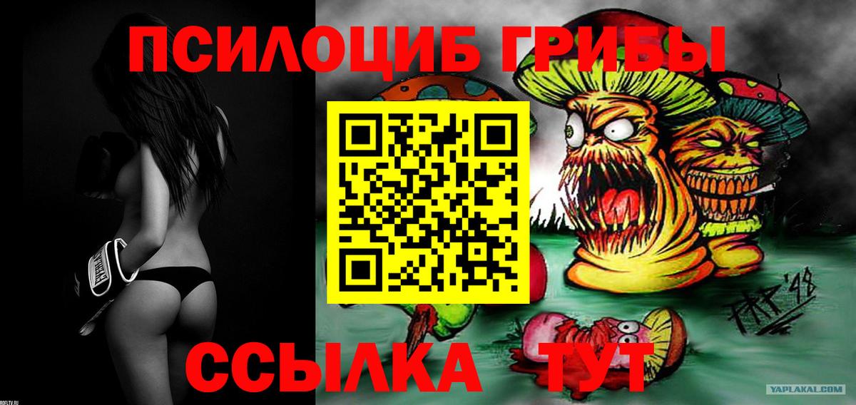 Вичуга  Псилоцибиновые грибы GOLDEN TEACHER  Вход с VPN 