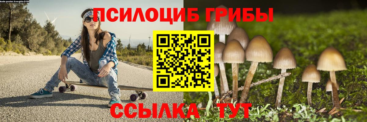 Галлюциногенные грибы Magic Shrooms Вичуга
