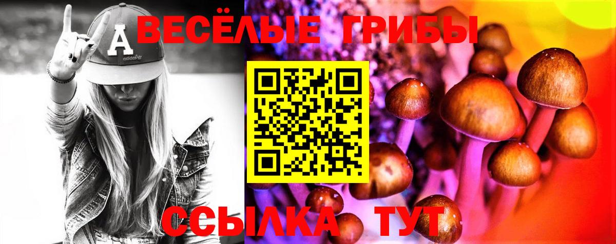 Галлюциногенные грибы Вичуга
